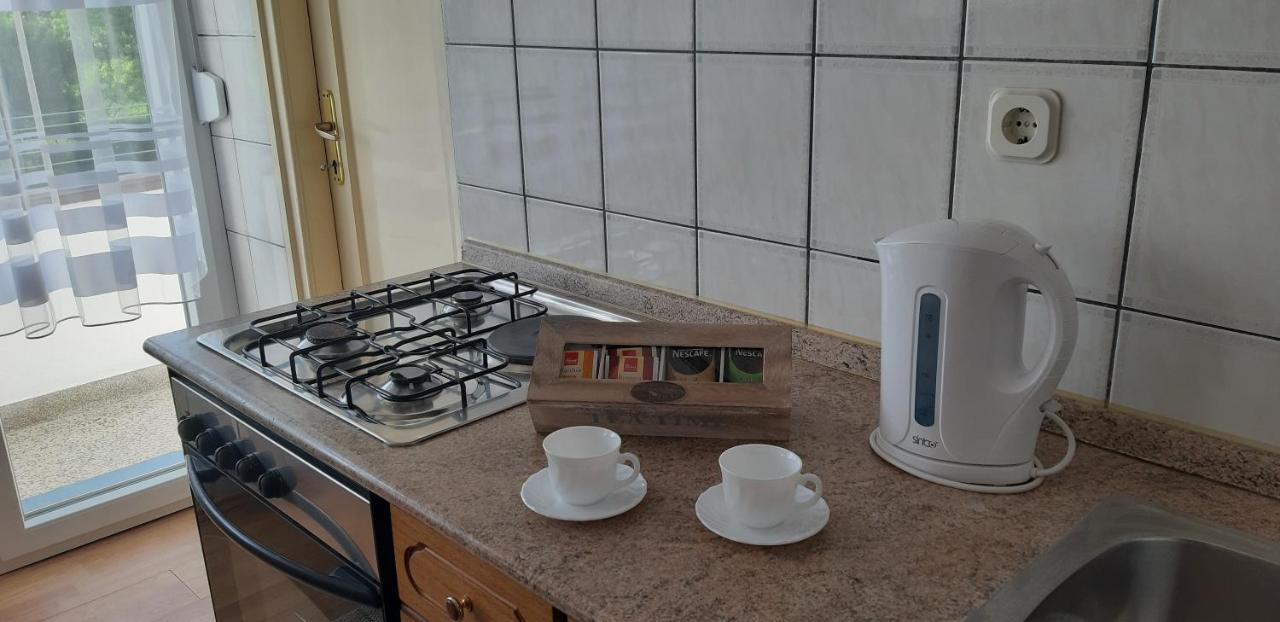 Apartment Ivana Gospic Bagian luar foto