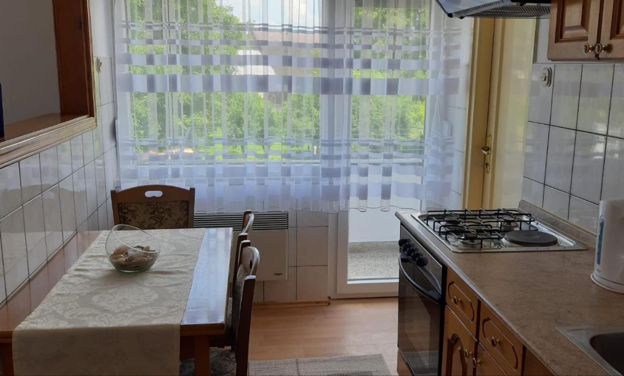Apartment Ivana Gospic Bagian luar foto